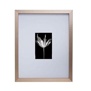 Mikasa Gallery Wall Frame with Mat